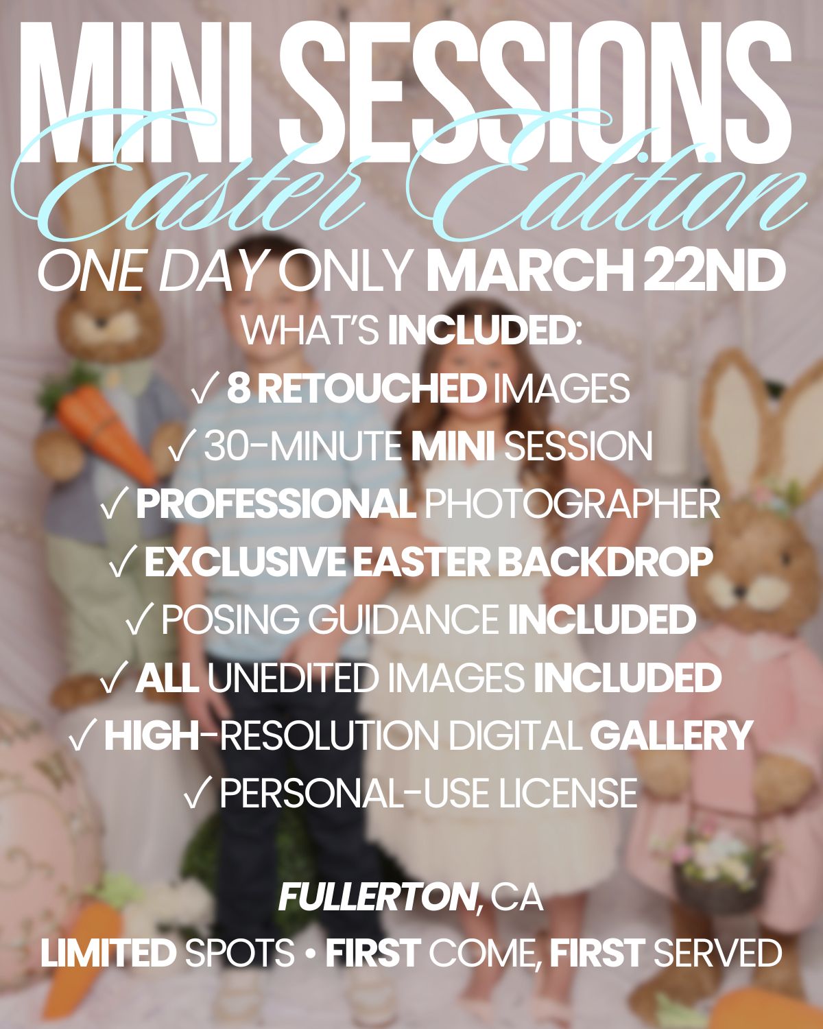 MINI SESSION PACKAGE MARCH 22ND (EASTER EDITION)